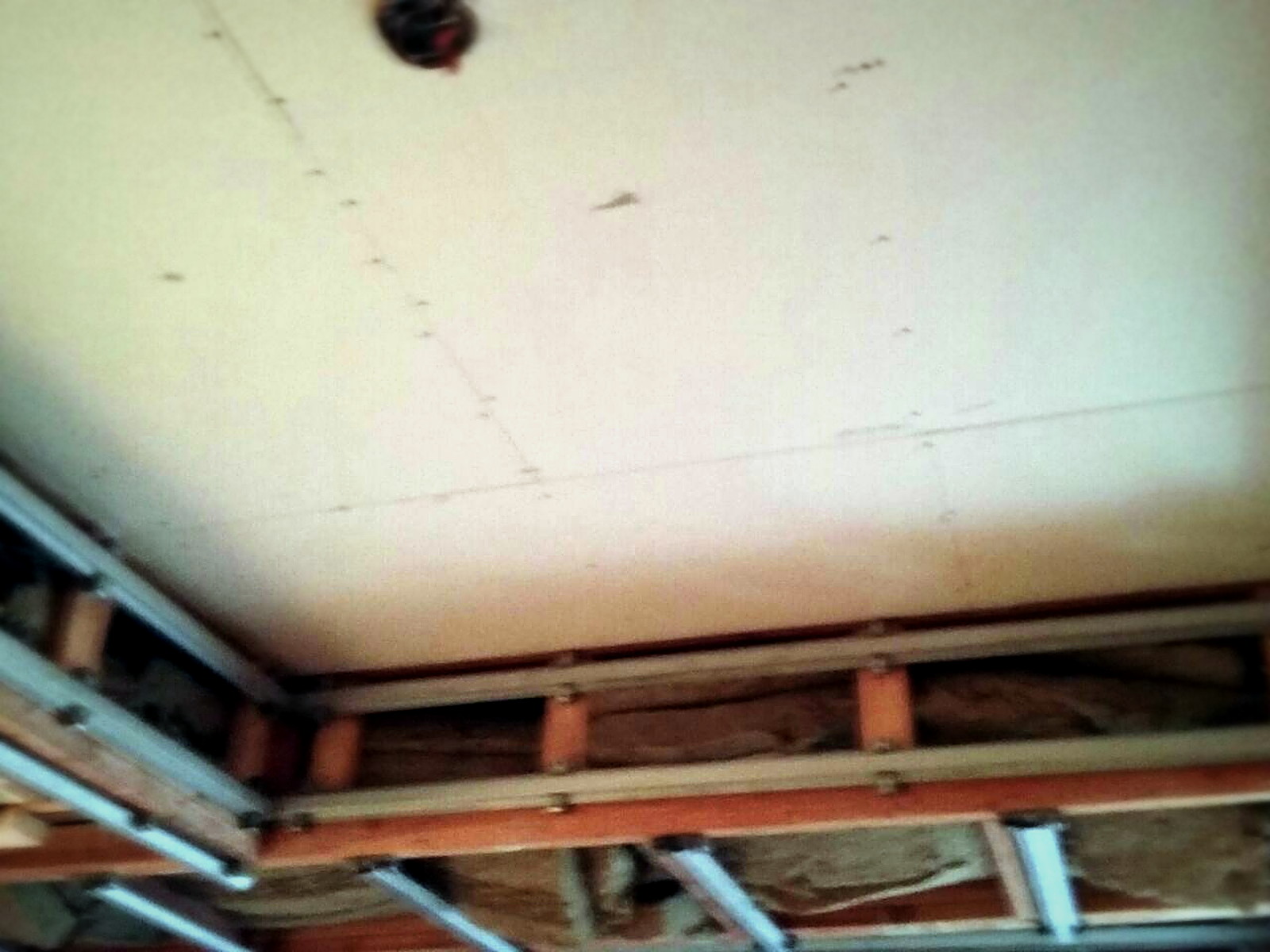 First layer of drywall hung on hat channel over an insulated Melrose ceiling assembly