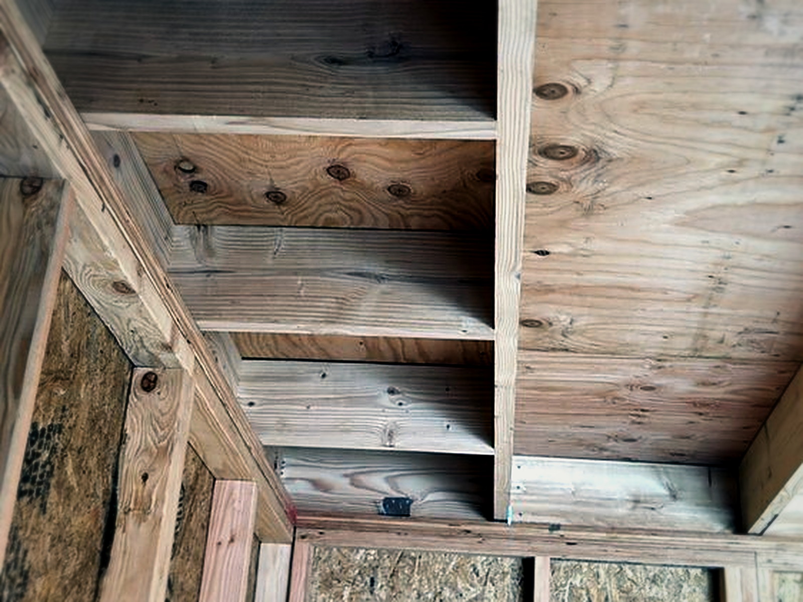 Interior view of soundproof studio shed roof framing with plywood ceiling deck and rafters over OSB sheathed walls