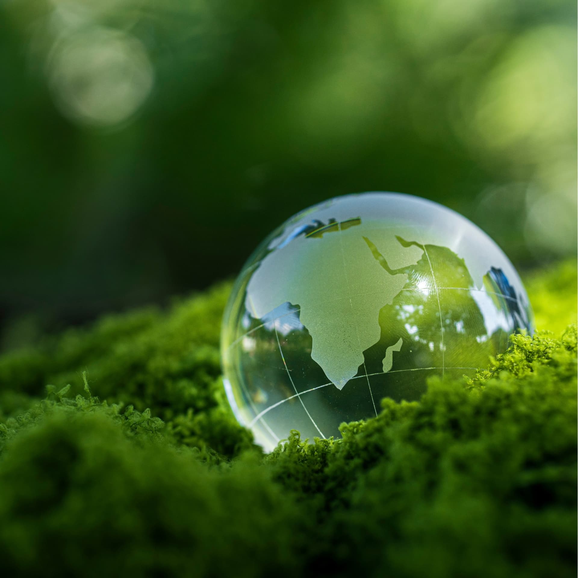 Glass globe resting on green moss — LEED credits and indoor air quality.