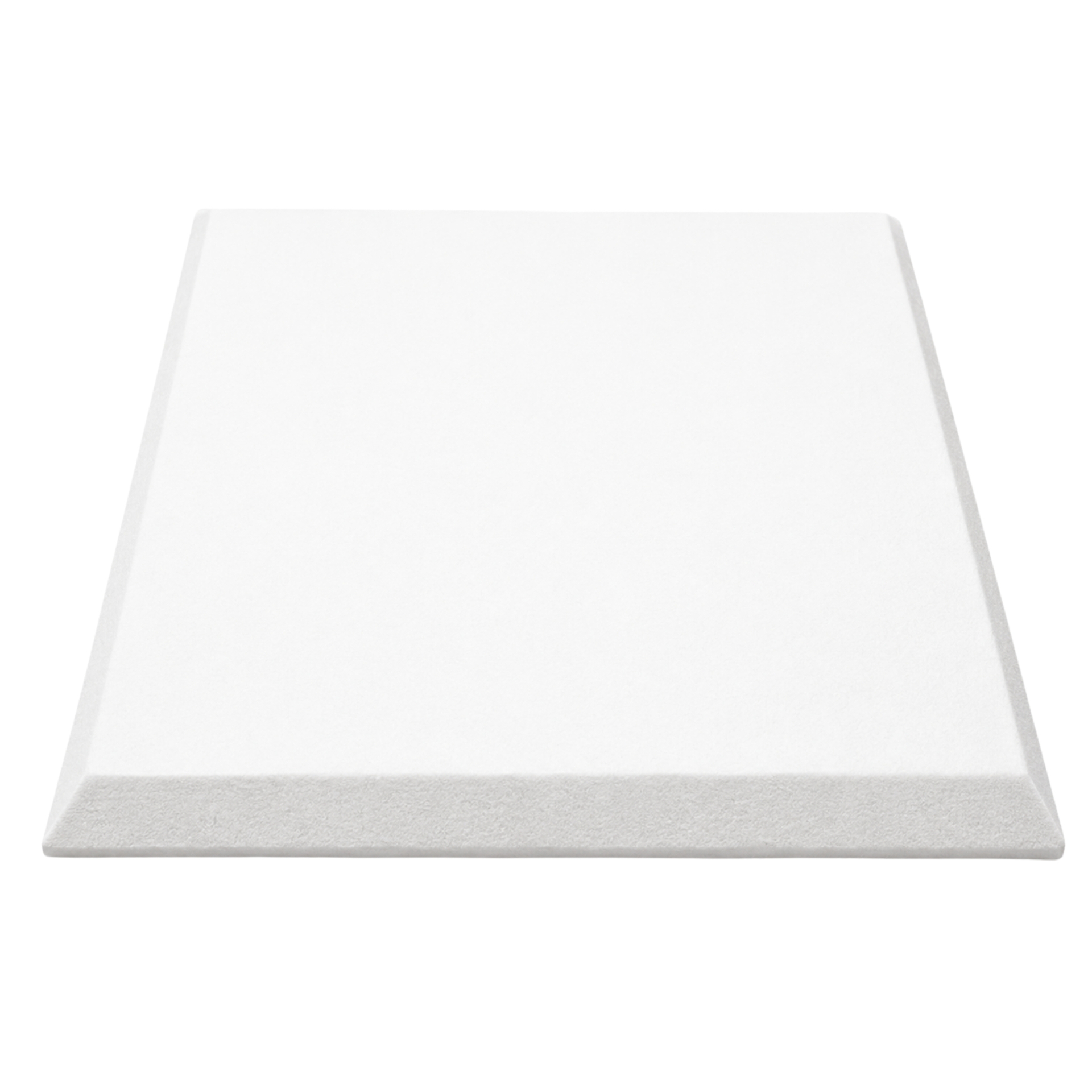 Standard Acoustic Ceiling Tile — product image